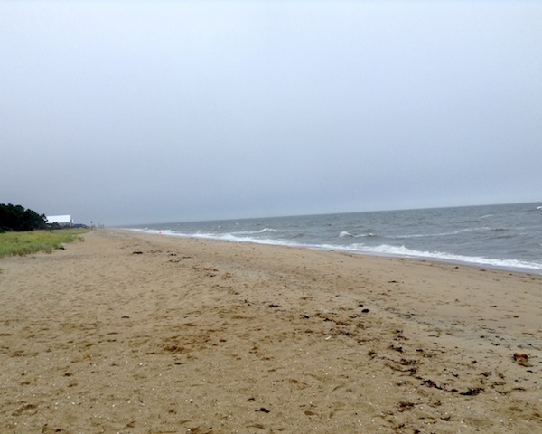 Beach - day one