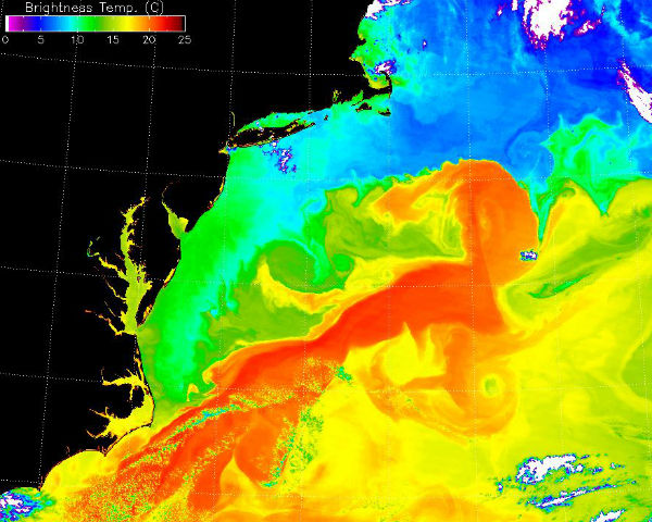 Gulf Stream
